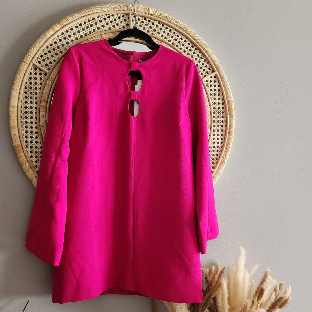 Zara Pink dress